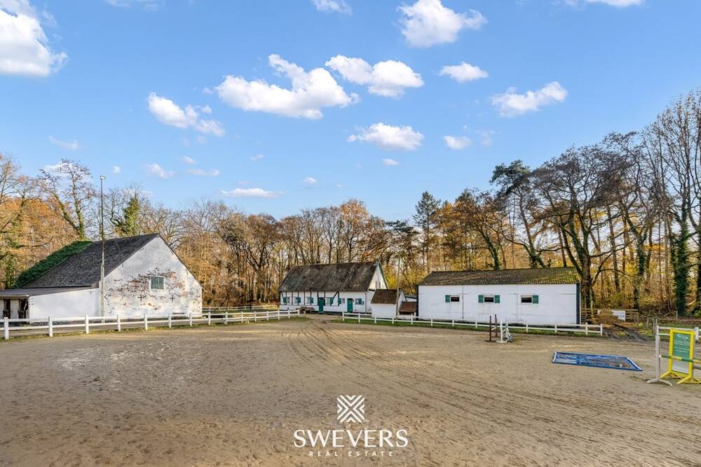 Niet bebouwbare grond te  koop in Heusden-Zolder 3550 1390000.00€  slaapkamers m² - Zoekertje 25803