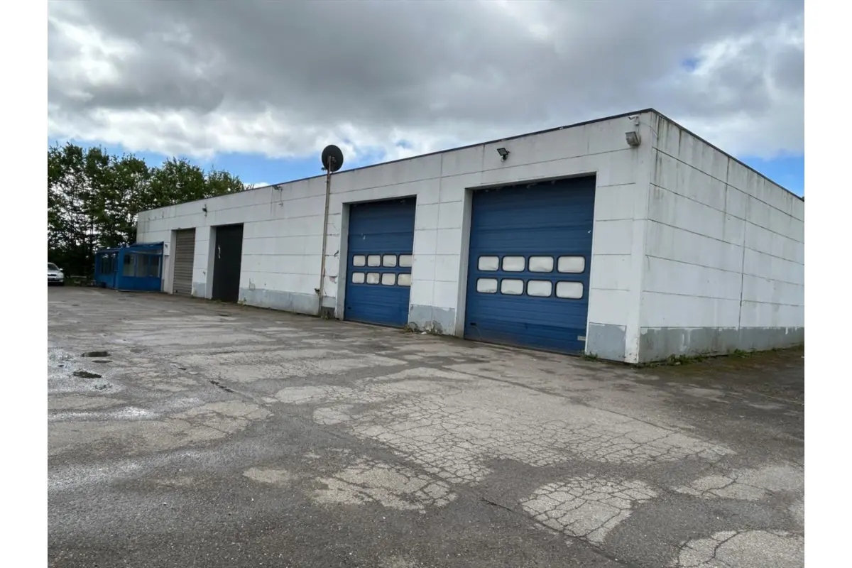 Handelszaak te  koop in Hamont 3930 545000.00€  slaapkamers 1115.66m² - Zoekertje 51462