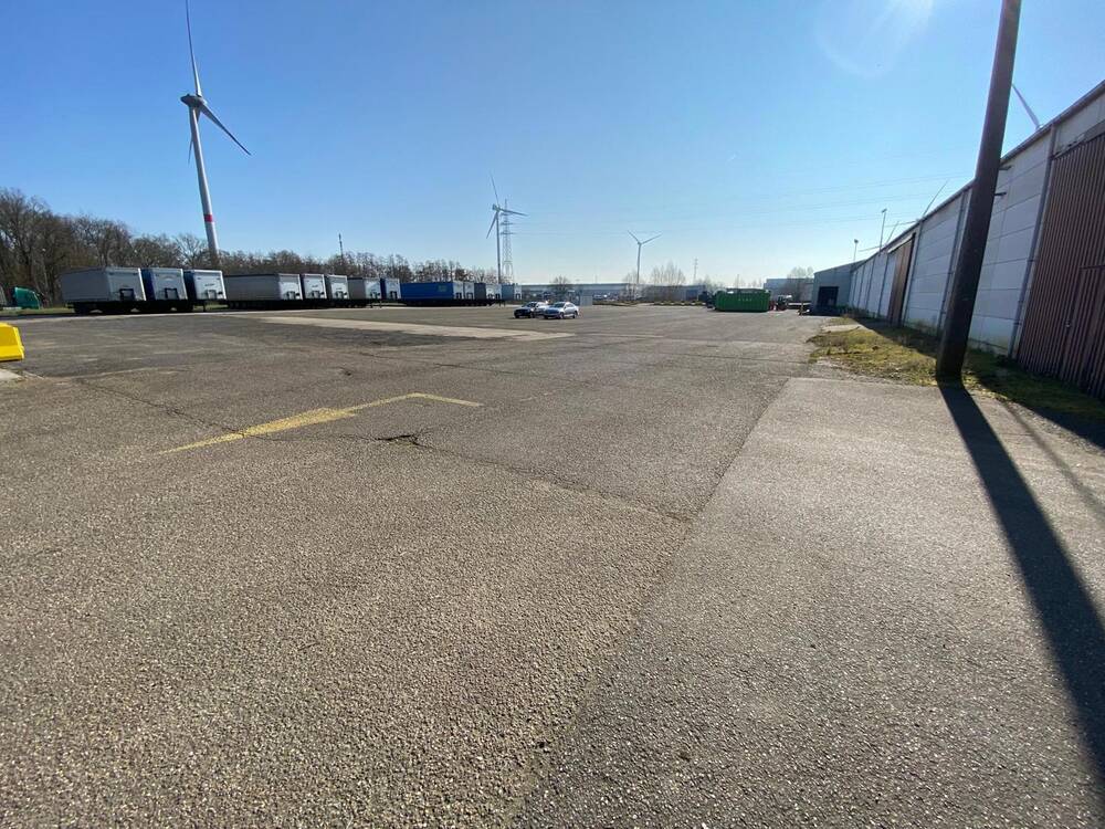 Grond te huur in Tessenderlo 3980 6250.00€ slaapkamers m² - Zoekertje 396165