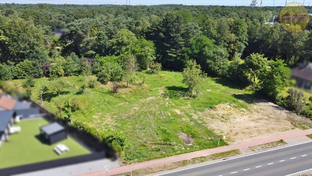 Grond te koop in Tessenderlo 3980 172000.00€ slaapkamers m² - Zoekertje 401670