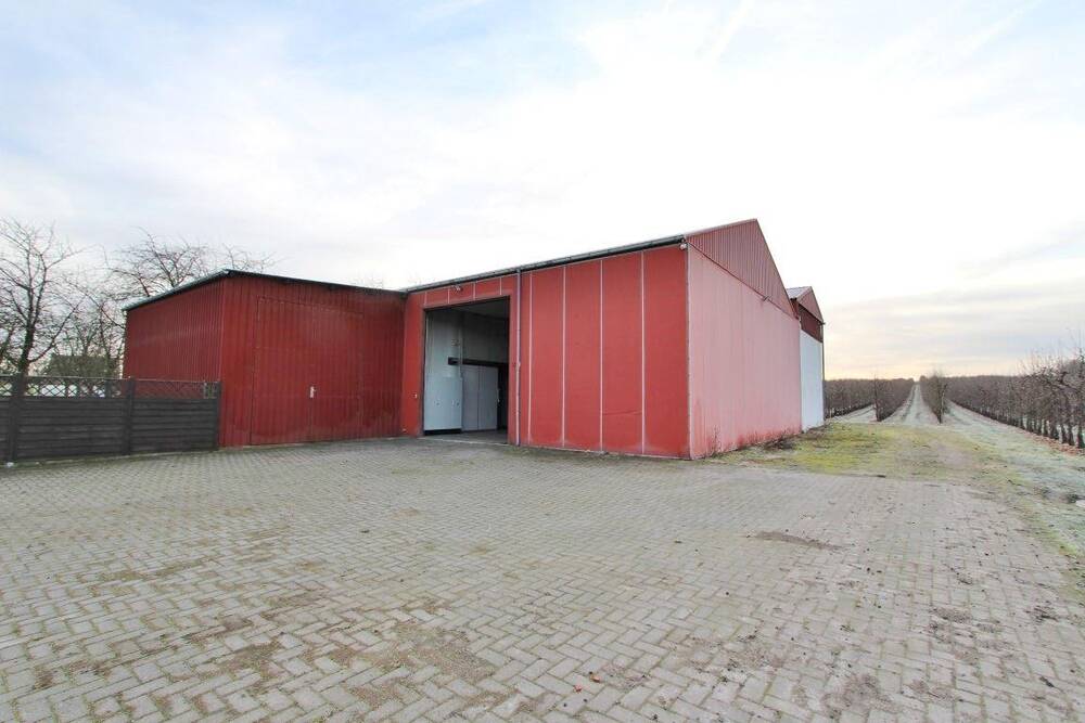 Handelszaak te  huur in Rukkelingen-Loon 3870 1250.00€  slaapkamers m² - Zoekertje 442554