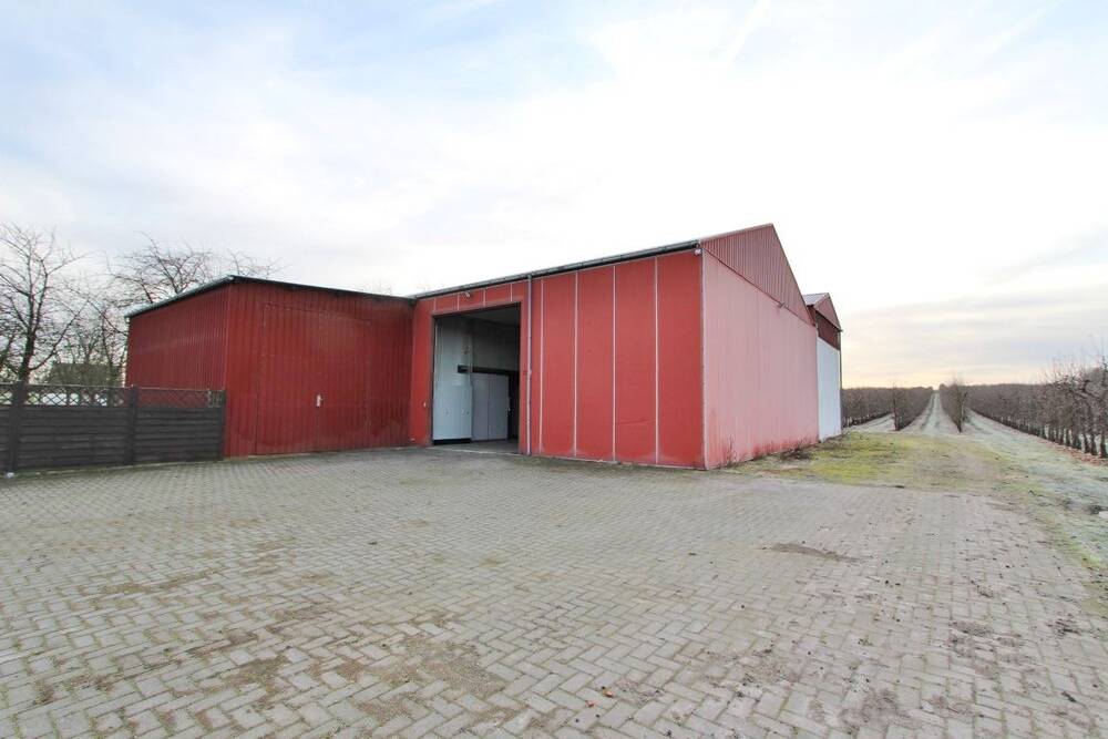 Handelszaak te  huur in Rukkelingen-Loon 3870 1250.00€  slaapkamers m² - Zoekertje 442554
