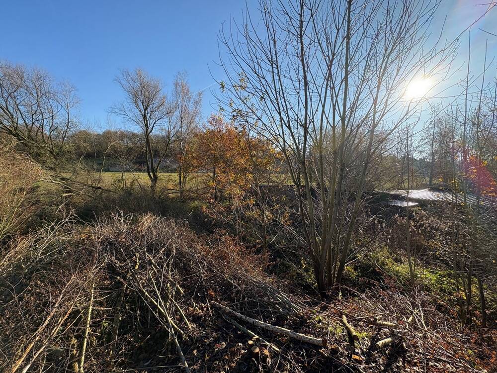 Grond te koop in Tongeren 3700 195000.00€ slaapkamers m² - Zoekertje 474518