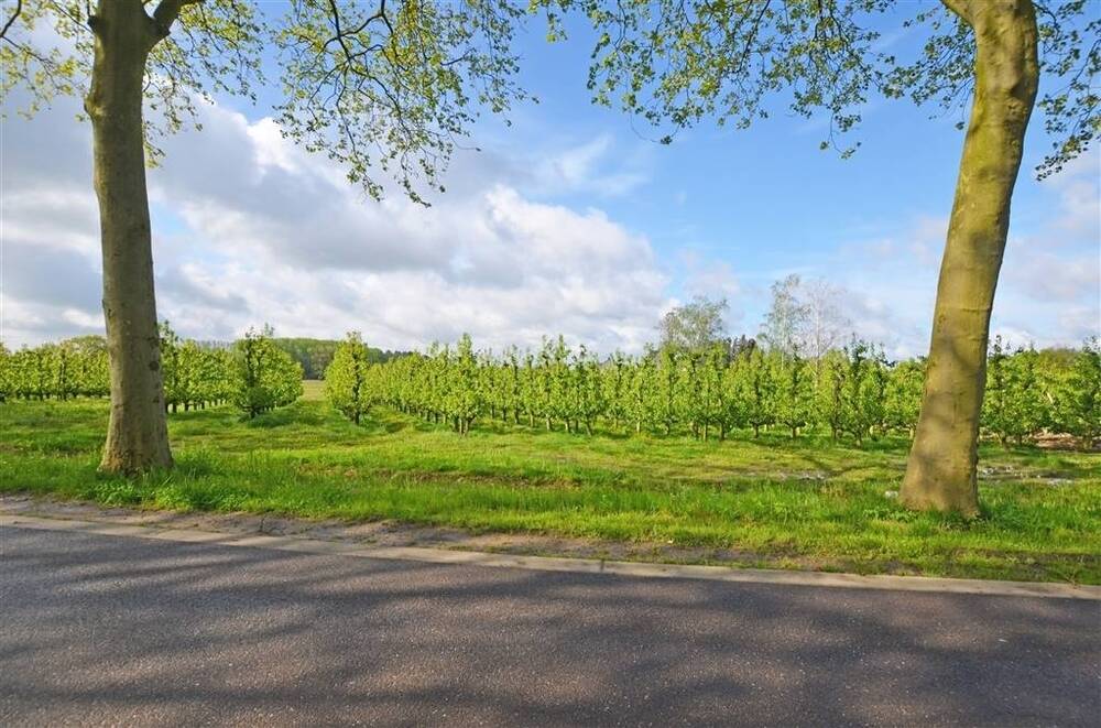 Grond te koop in Hasselt 3500 660000.00€ slaapkamers m² - Zoekertje 486292