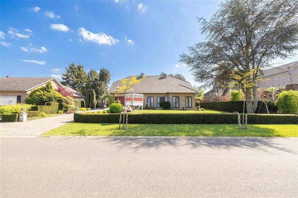 Huis te koop in Tessenderlo 3980 535000.00€ 4 slaapkamers 365.00m² - Zoekertje 486760