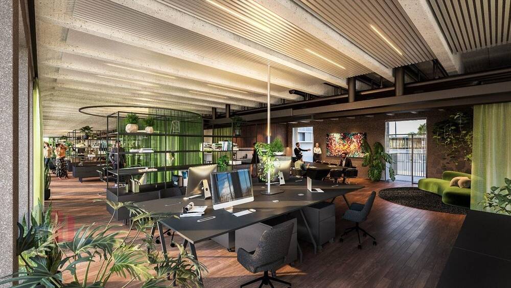 Handelszaak te huur in Hasselt 3500 11279.00€ slaapkamers 773.50m² - Zoekertje 500849