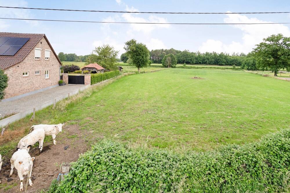 Grond te koop in Tessenderlo 3980 199000.00€ slaapkamers m² - Zoekertje 499665