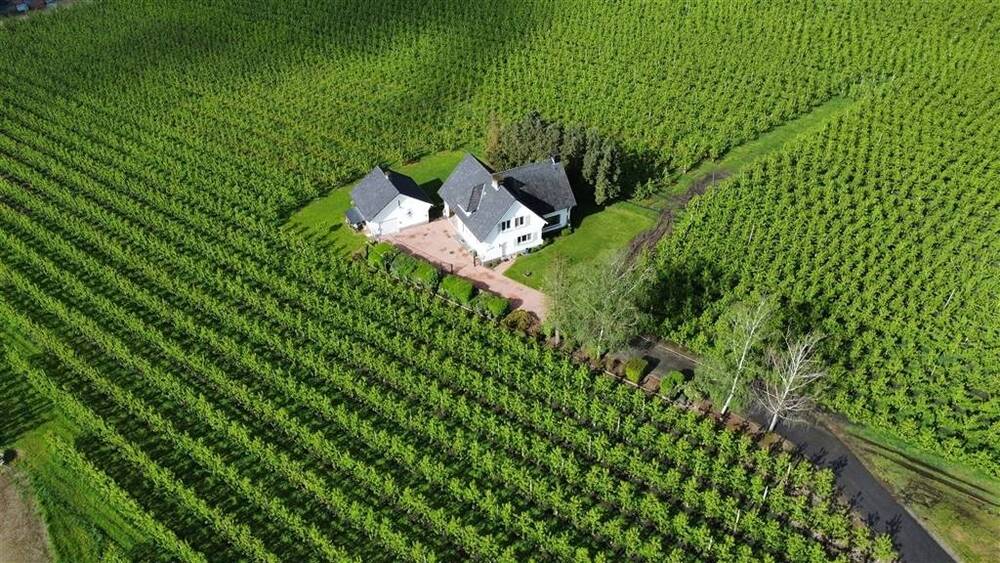 Villa te  koop in Hasselt 3500 995000.00€ 4 slaapkamers 275.00m² - Zoekertje 497602