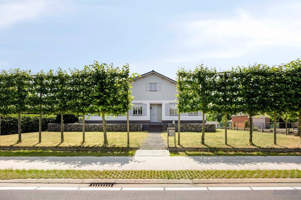 Huis te  koop in Tessenderlo 3980 428000.00€ 3 slaapkamers 300.00m² - Zoekertje 511152