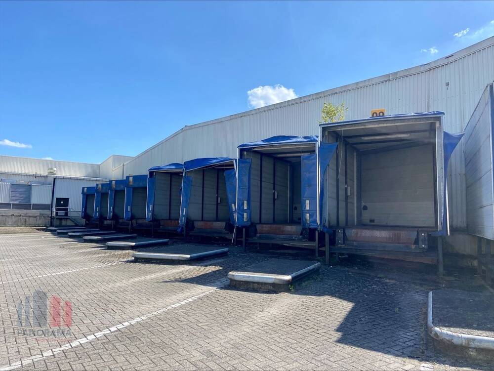 Handelszaak te koop in Sint-Truiden 3800 9806488.00€ slaapkamers 31211.00m² - Zoekertje 524344