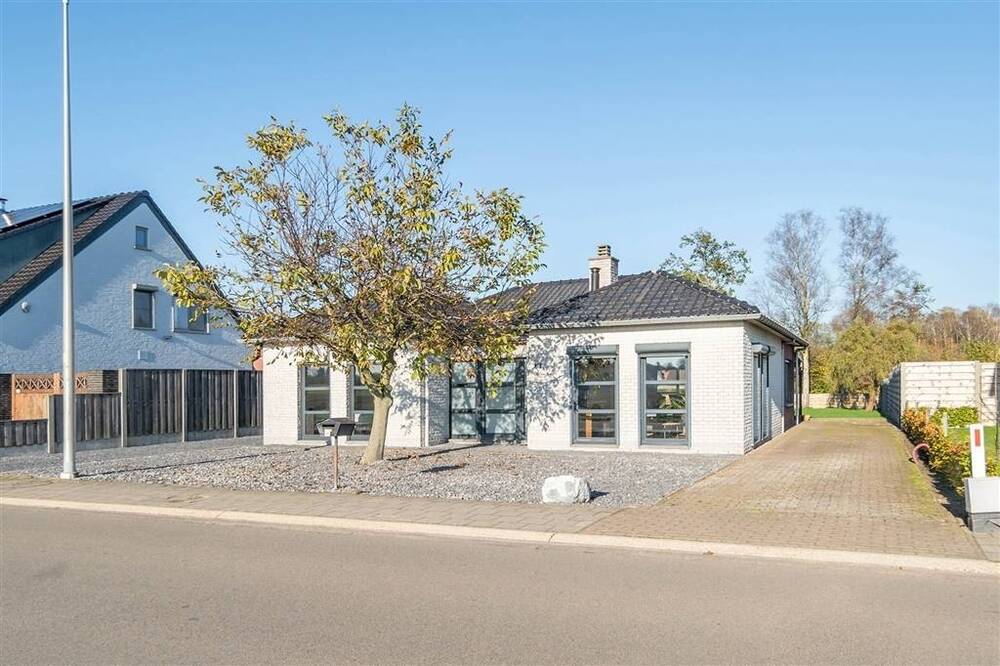 Huis te  huur in Overpelt 3900 1300.00€ 3 slaapkamers 163.00m² - Zoekertje 528509