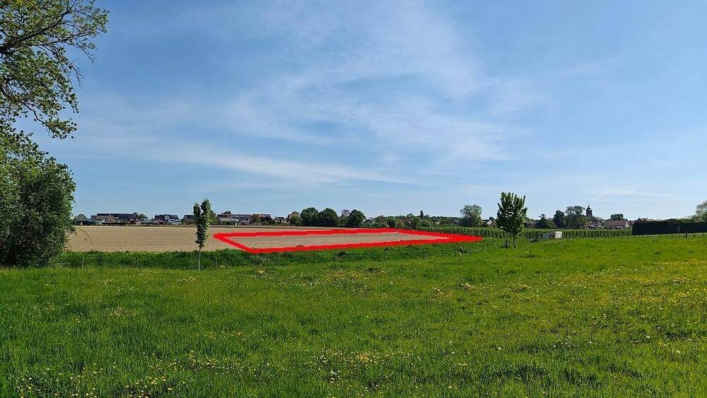 Grond te  koop in Niel-bij-Sint-Truiden 3890 41000.00€  slaapkamers m² - Zoekertje 536170