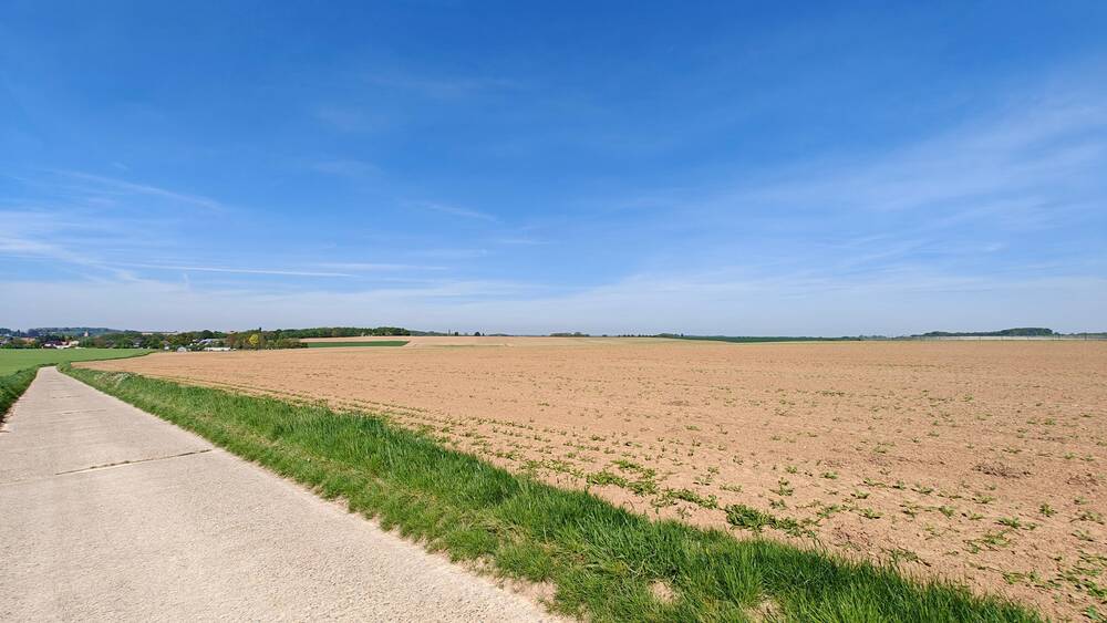Grond te  koop in Niel-bij-Sint-Truiden 3890 46500.00€  slaapkamers m² - Zoekertje 536171