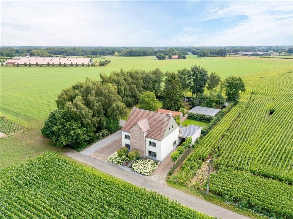 Huis te  koop in Molenbeersel 3640 798000.00€ 6 slaapkamers 442.00m² - Zoekertje 542622