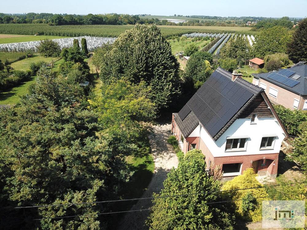 Huis te koop in Wellen 3830 525000.00€ 3 slaapkamers 203.00m² - Zoekertje 551410