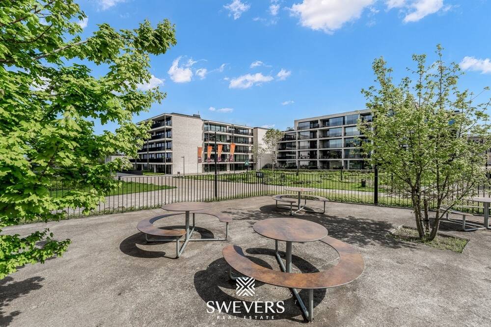 Appartement te huur in Beringen 3580 960.00€ 2 slaapkamers 104.00m² - Zoekertje 558015