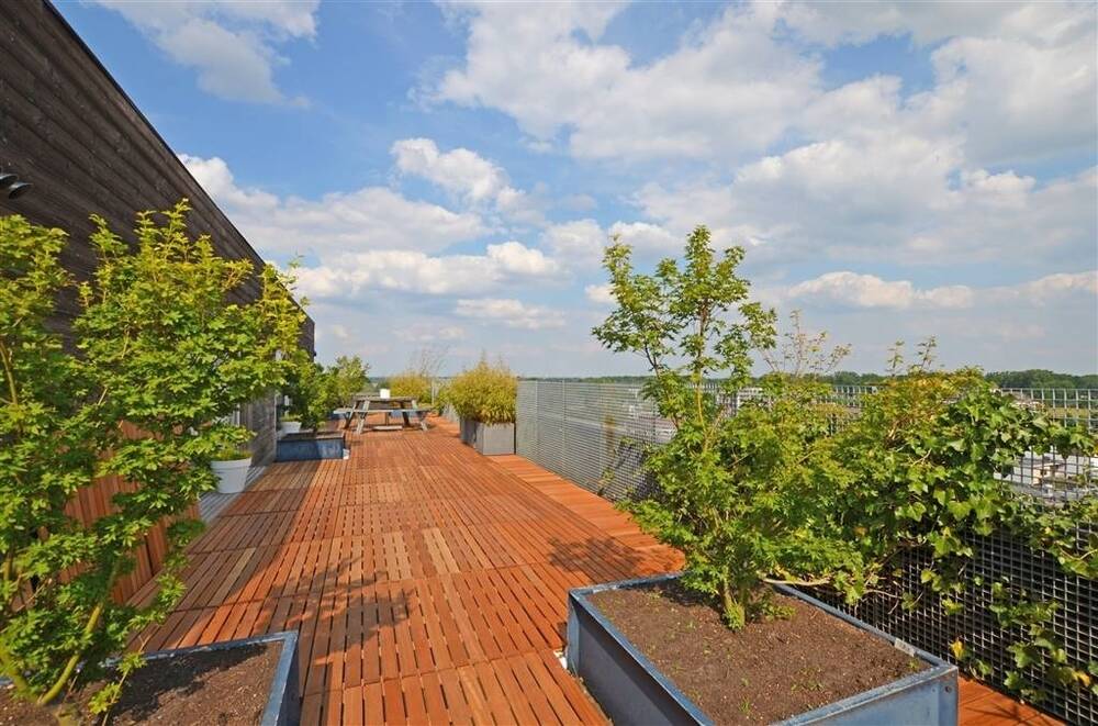 Penthouse te  koop in Hasselt 3500 695000.00€ 3 slaapkamers 240.00m² - Zoekertje 559369
