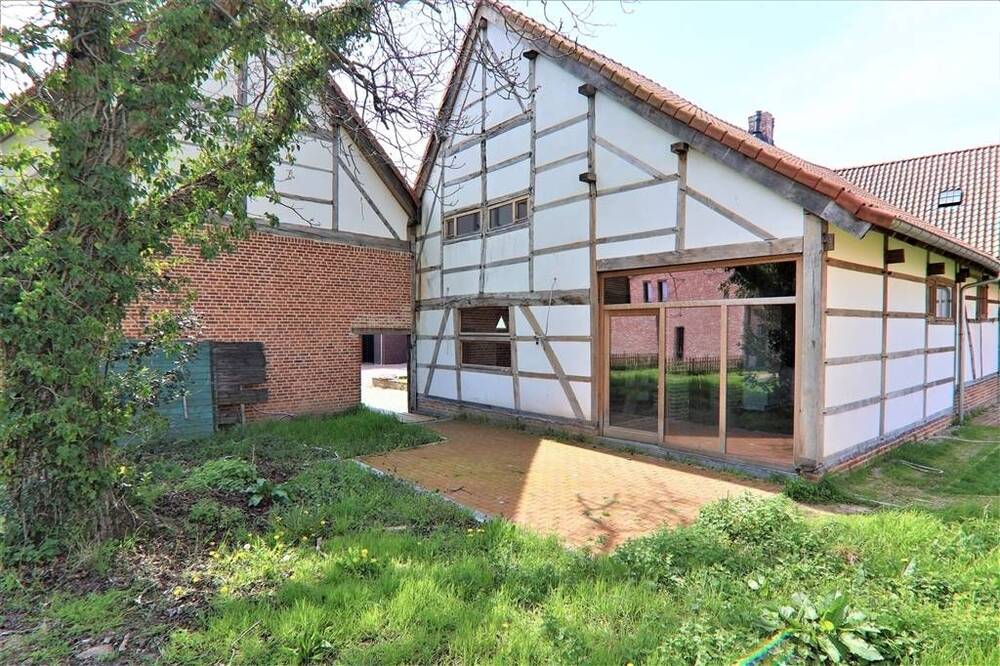 Huis te huur in Kozen 3850 800.00€ 1 slaapkamers 86.00m² - Zoekertje 577776