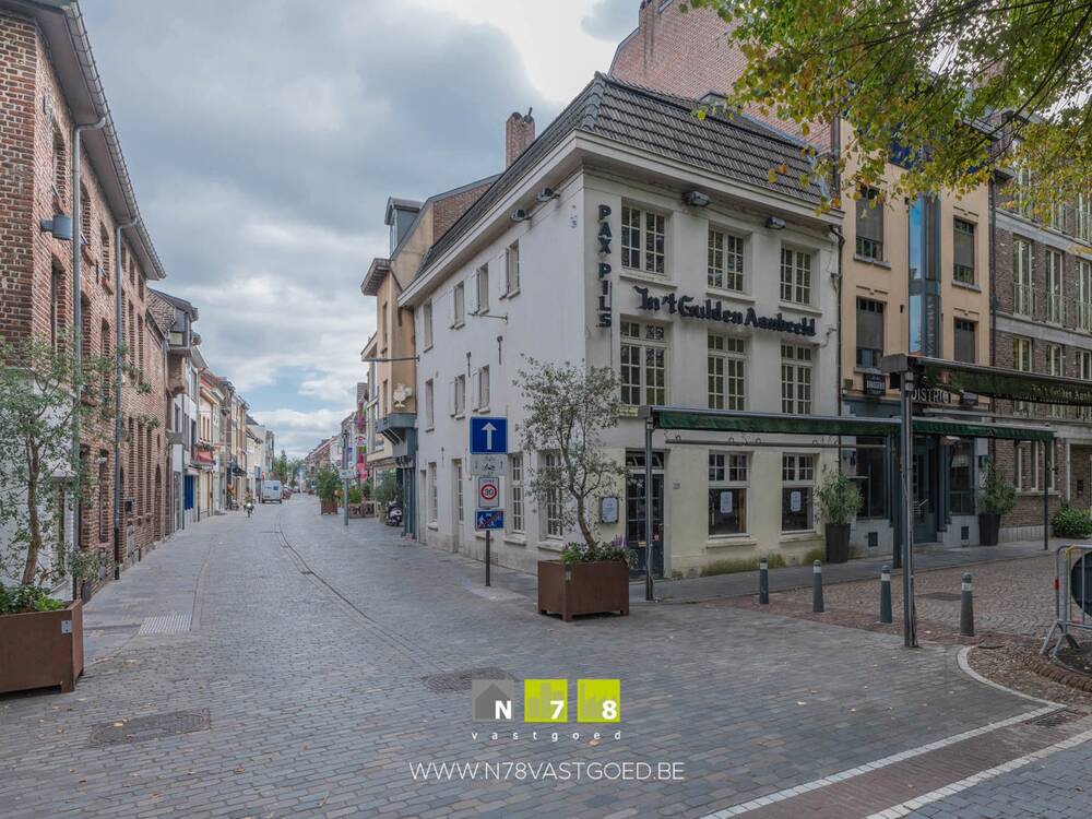 Handelszaak te koop in Maaseik 3680 475000.00€ slaapkamers 323.00m² - Zoekertje 595309