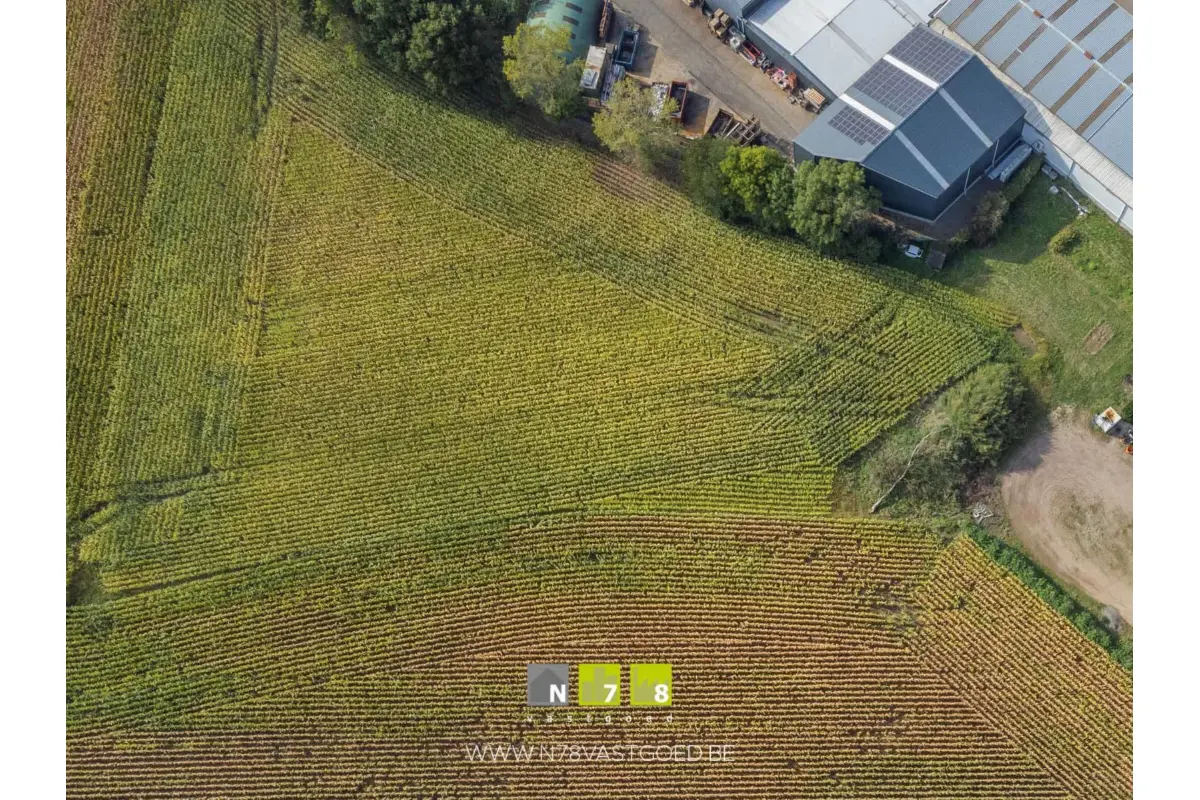 Grond te  koop in Dilsen-Stokkem 3650 25000.00€  slaapkamers m² - Zoekertje 607436