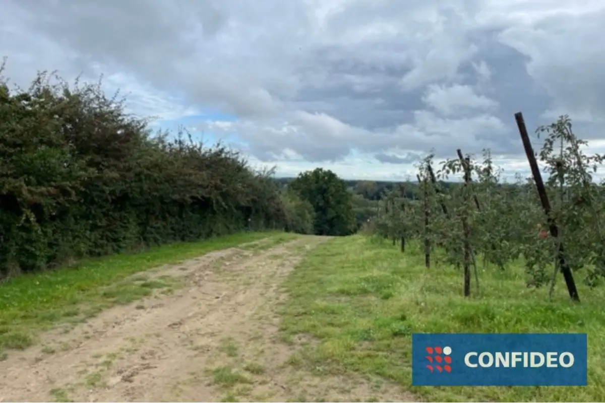 Niet bebouwbare grond te  koop in Loksbergen 3545 302500.00€  slaapkamers m² - Zoekertje 611114