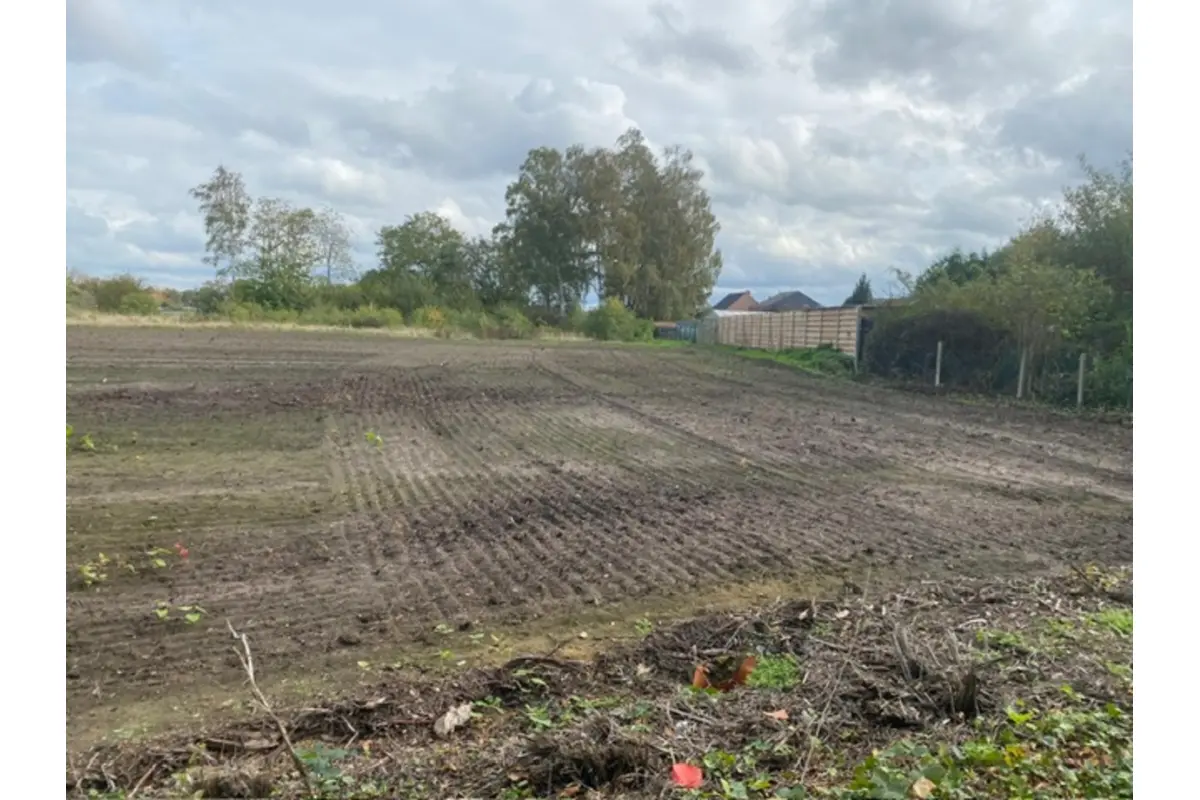 Bouwgrond te  koop in Tessenderlo 3980 245000.00€  slaapkamers m² - Zoekertje 618997