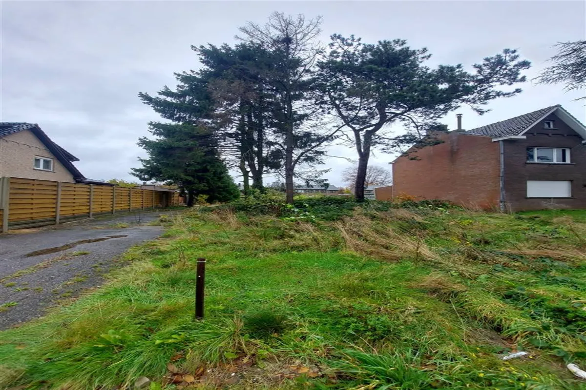 Grond te  koop in Tessenderlo 3980 165000.00€  slaapkamers m² - Zoekertje 628829