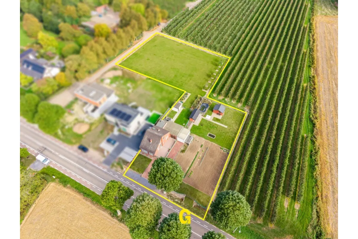 Huis te  koop in Berg 3700 295000.00€ 4 slaapkamers 156.00m² - Zoekertje 635455