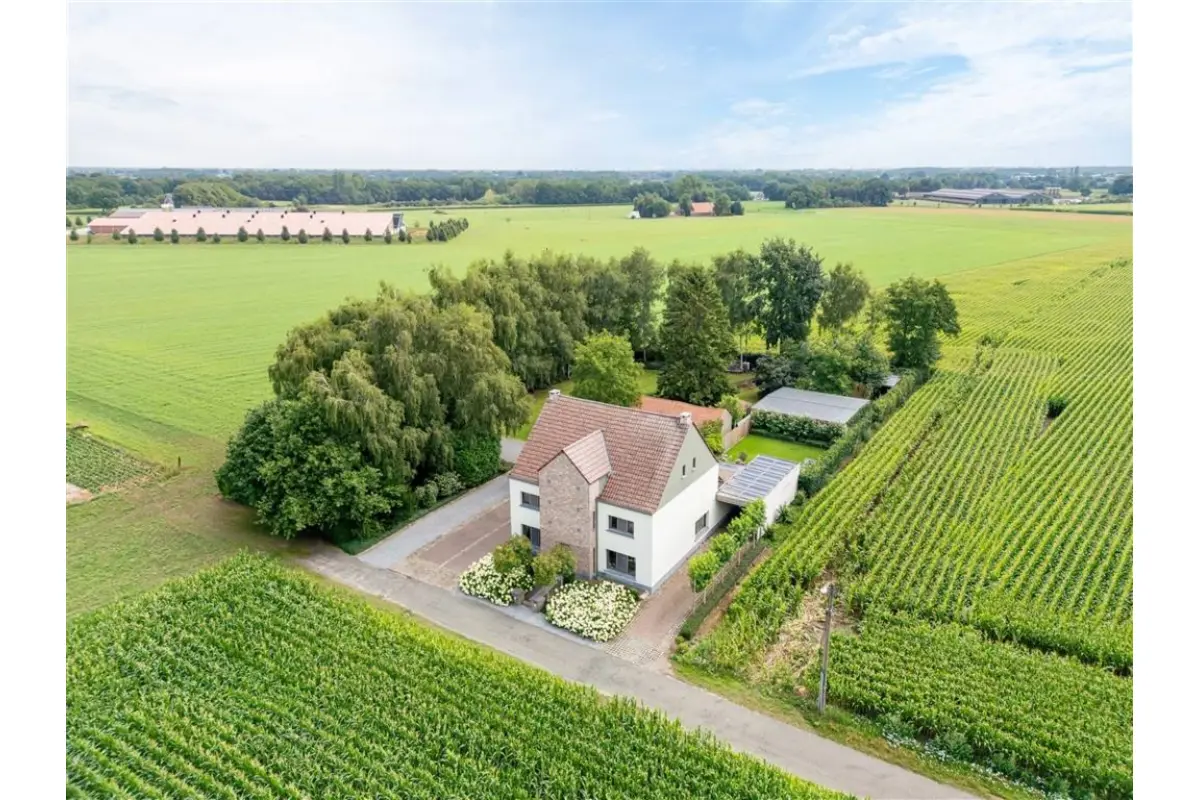 Huis te  koop in Molenbeersel 3640 798000.00€ 6 slaapkamers 442.00m² - Zoekertje 637477