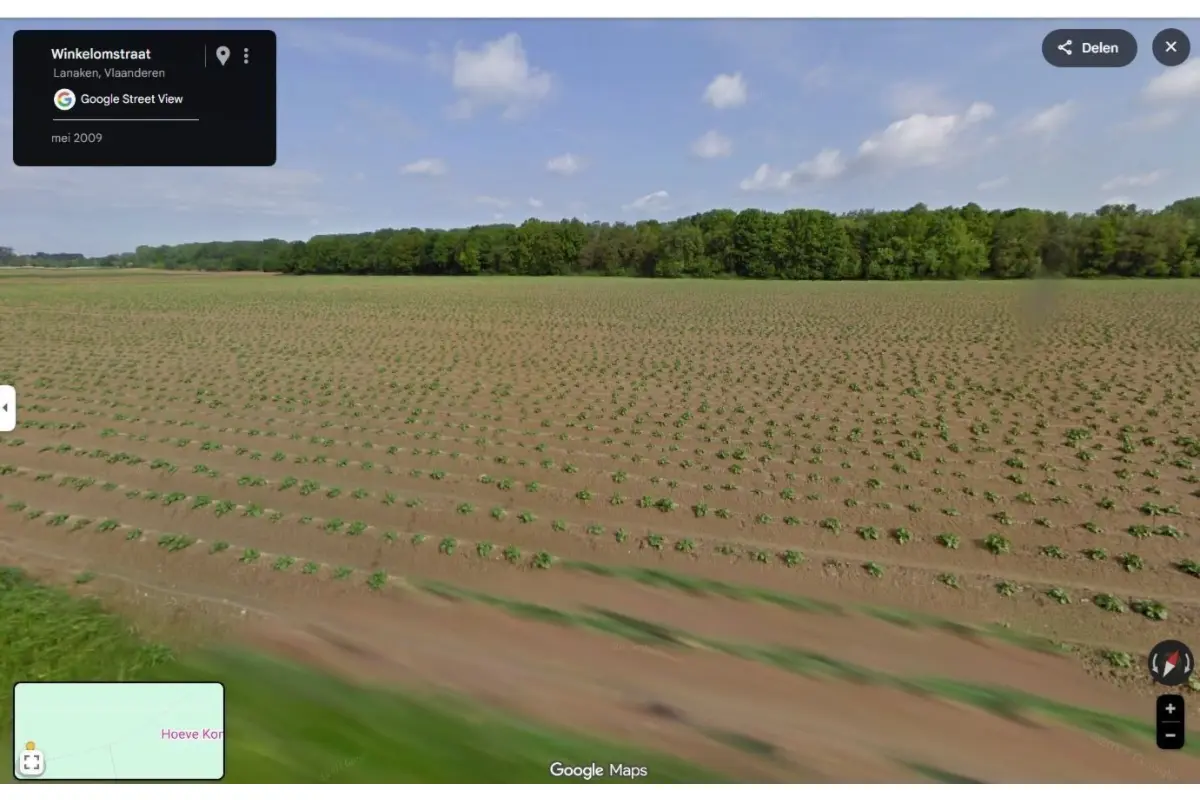 Grond te  koop in Gellik 3620 1.00€  slaapkamers m² - Zoekertje 660761