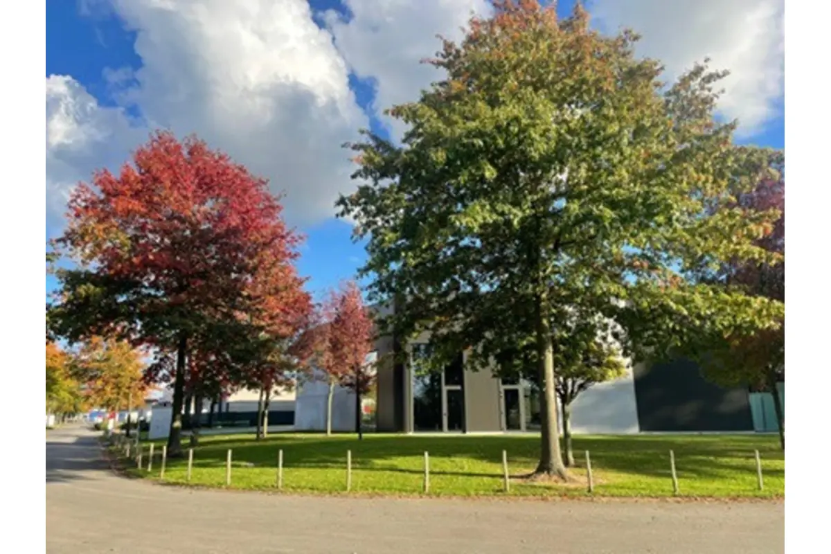 Handelszaak te  huur in Hasselt 3500 1295.00€  slaapkamers m² - Zoekertje 664686