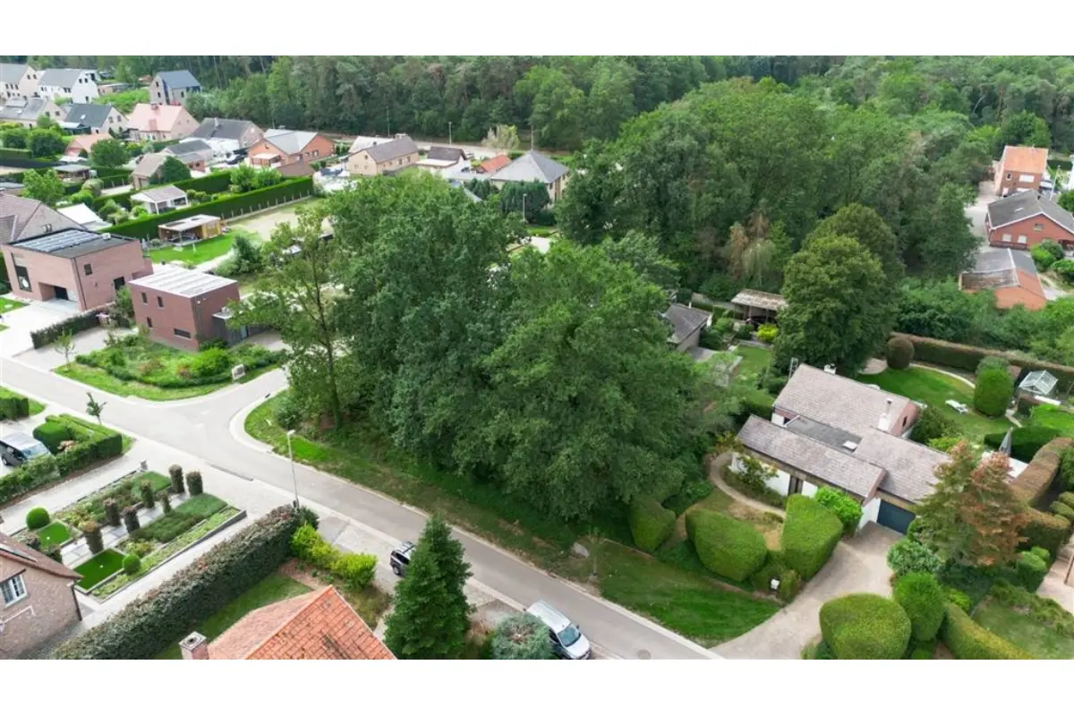Grond te  koop in Ham 3945 160000.00€  slaapkamers m² - Zoekertje 807437