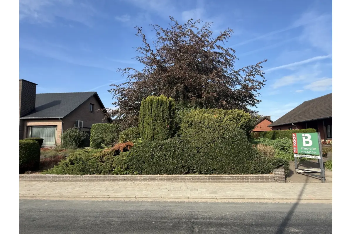 Grond te  koop in Overpelt 3900 176000.00€  slaapkamers m² - Zoekertje 825375